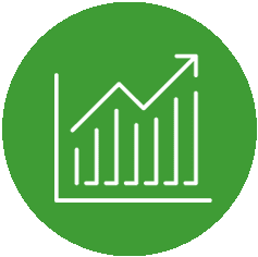Financial statement audits